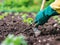 Hands of farmer or gardener putting plants into the soil. The concept of spring and the beginning of garden work