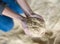 Hands of farmer holding handful of soybean flour