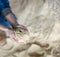 Hands of farmer holding handful of soybean flour