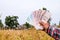 Hands farmer are holding thai banknote in rice field, money thai baht in hand farmer, hand are holding money banknote of thailand