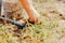 Hands of farmer racking removing weeds from his lawn