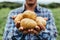 Hands of farmer show his fresh potato in farm and ready give them to customer, delivery fresh market goods online shopping