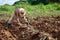 Hands of a farmer sowing 1