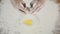 Hands of a female bakery chef breaking an egg into a heap of measured flour while making bread with a bunch of wheat