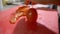 Hands of female cook slowly slicing a tomato