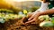 Hands of a Female Farmer Planting a Small Green Plant - Generative Ai