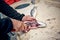 Hands of a fisherman cleaning and filleting a fresh sea bass fish