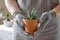 Hands of a gardener hold a succulent in a ceramic pot. Close-up. Concept of indoor garden home