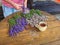 Hands of gardener woman create relaxing smell herbal bouquet.