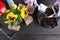 Hands of gardener woman putting soil into a paper flower pot. Planting spring pansy flower. Gardening concept