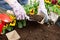 Hands of gardener woman putting soil into a paper flower pot. Planting spring pansy flower. Gardening concept