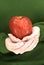 Hands Gently Holding A Red Delicious Apple