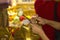 The hands of the girl close the gold plate on Buddha.