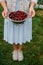 In the hands of the girl a large colander of fresh cherries. A new harvest of cherries with water drops. Photo in the garden.