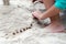 Hands of girl plays the sand on the beach decorated by pine cone