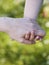 Hands of grandson and grandmother