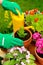 Hands in green gloves plant flowers in pot