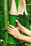 Hands grip bamboo tree