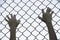 Hands gripped onto prison mesh wire fence