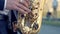 Hands of groom play on saxophone. Closeup hands of man playing golden alto saxophone with light effect. Men playing