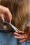 Hands of hairdresser trimming hair with scissors and comb