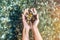 Hands with handful of sea stones  under water