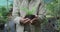 Hands of hands of african american male gardener holding plant at garden center