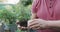 Hands of hands of caucasian male gardener holding bonsai tree at garden center