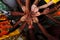 Hands of a happy group of multinational African, Latin American and European people who stay together in a circle. Team