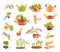 Hands Harvesting Gathering Ripe Fruit and Vegetables Big Vector Set