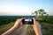 Hands hold a black phone with the camera turned on, which photographs a lone tree on a mountain