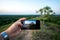 Hands hold a black phone with the camera turned on, which photographs a lone tree on a mountain