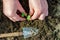 Hands hold a green small plant,  New concept of life and growth. gardener`s hands hold small seedlings and plant in soil in sprin