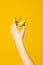 Hands hold recycling food waste isolated on yellow background. Stop nature garbage, ecology environment protection