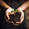 Hands hold soil from which a green sprout grows closeup Ecology earth day environmental.