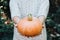 Hands holding beautiful freshly picked organic orange pumpkin.