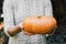 Hands holding beautiful freshly picked organic orange pumpkin.