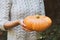 Hands holding beautiful freshly picked organic orange pumpkin.