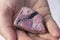 Hands holding beautiful pink rhodonite