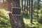 hands holding blank blackboard around the tree in the forest