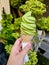 Hands holding delicious matcha ice cream