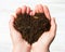 Hands holding an earth heart on white background. Ecology concep