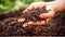 Hands Holding earthworms. Composting and gardening concept. Garden compost. Generative AI