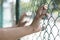 Hands holding fence