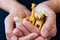 Hands holding figures of wild animals: giraffe, zebra, tiger, bear and deer. World Animal Day concept. Soft focus