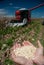 Hands holding a fist of freshly harvested maize with a combine harvester in the background