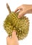 Hands Holding Fresh Ripe Durian on White Background