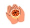 Hands holding grapefruit, cut half. Healthy fresh ripe fruit, natural vitamin summer food, exotic tropical juicy eating