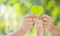 Hands holding green heart shaped tree and planting trees, loving the environment and protecting nature Nourishing the plants World