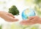 Hands holding green oak tree and earth planet